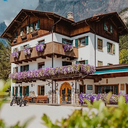 Gæstehus Montana
